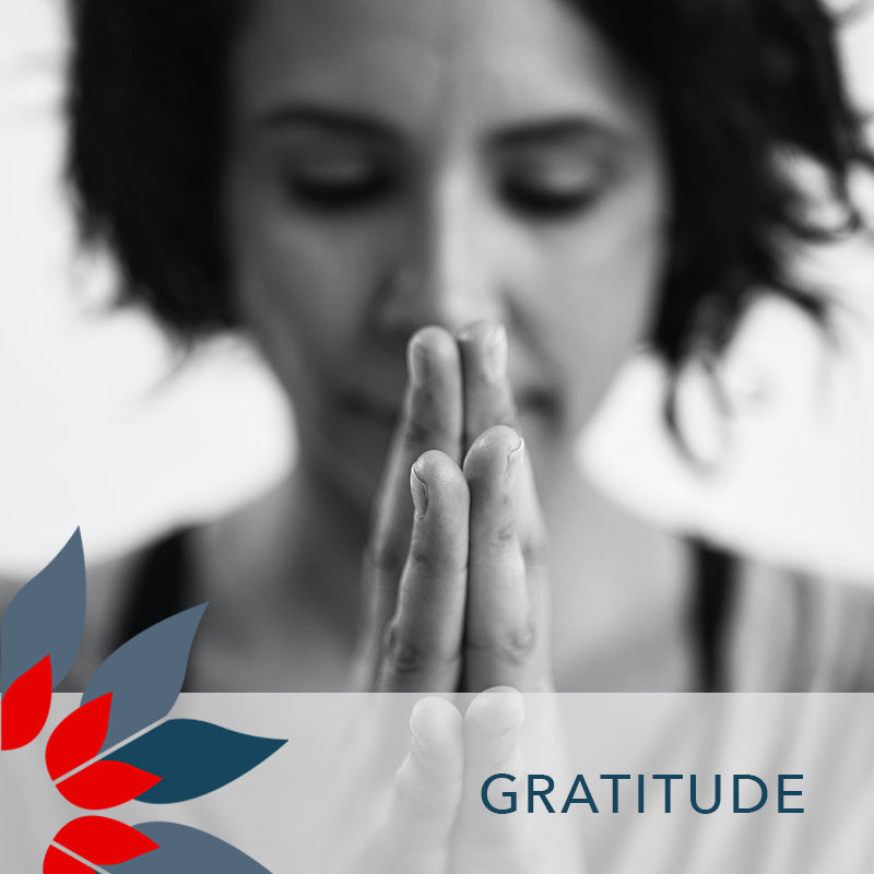 Meditation to Cultivate Gratitude