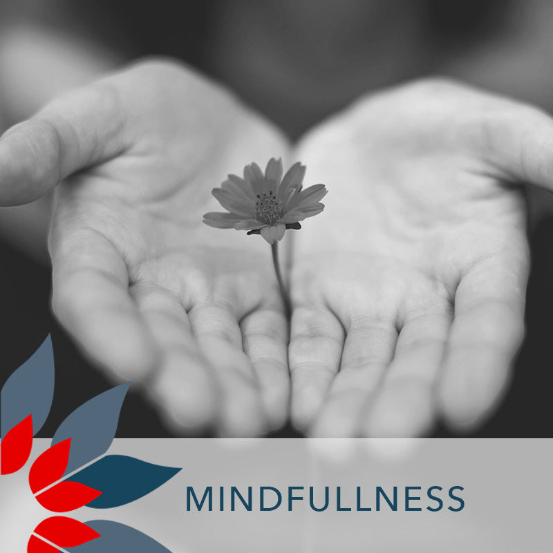 4 Week Mindfulness Program